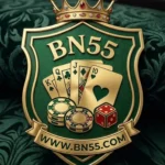 bn55 game