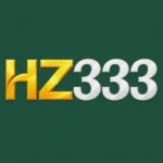 hz333 game