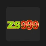 zs999